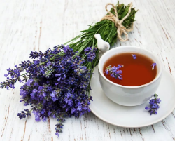 lavanda